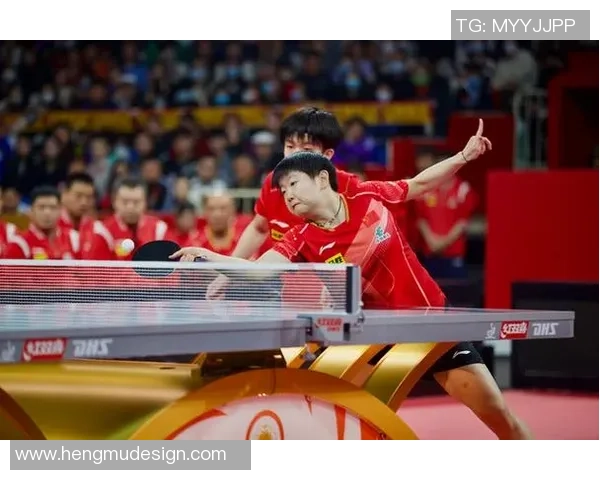 杭州乒乓球队力量争议引发热议球迷与专家观点交锋激烈 杭州乒乓球队力量争议引发热议球迷与专家观点交锋激烈